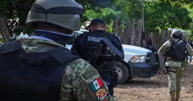 मैक्सिकन सैनिकों के साथ संघर्ष में 12 संदिग्ध हमलावर मारे गए